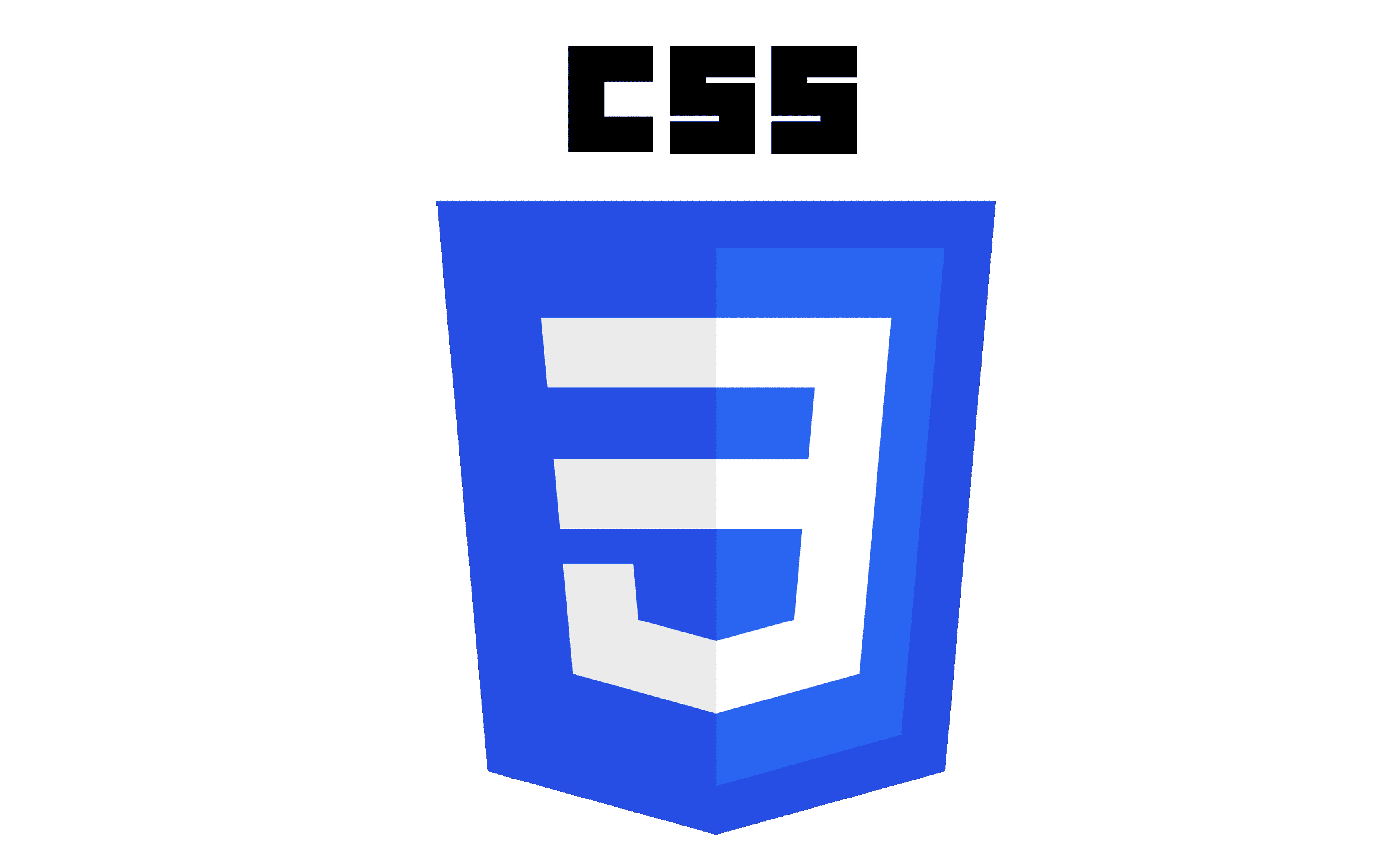 HTML Logo